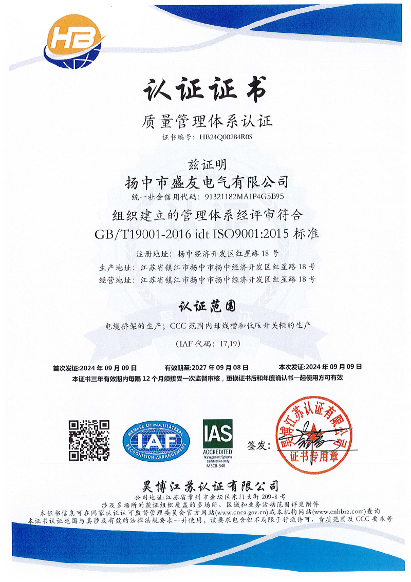 揚(yáng)中市盛友電氣有限公司   QES  初審-1.jpg
