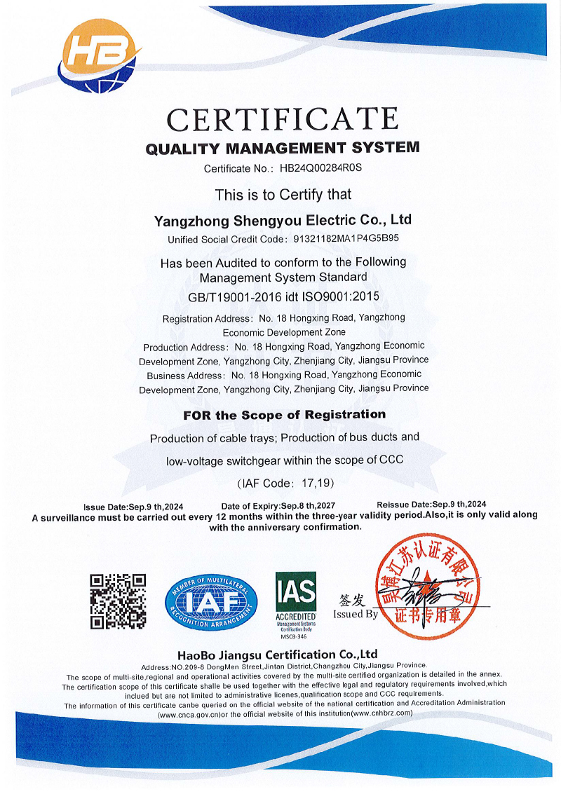 揚(yáng)中市盛友電氣有限公司   QES  初審-2.jpg